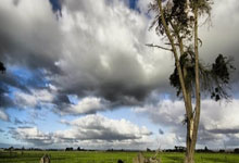 悟空游戏厅怎么样,值得下载吗?